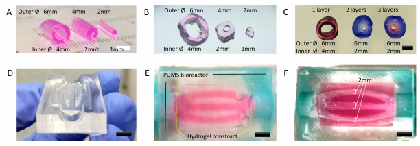 如何使用低成本桌面3D打印機創(chuàng)建血管結(jié)構(gòu) 如何使用低成本桌面3D打印機創(chuàng)建血管結(jié)構(gòu)