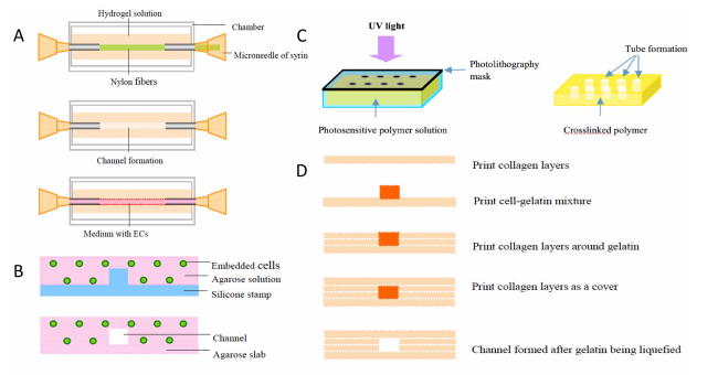 如何使用低成本桌面3D打印機創(chuàng)建血管結(jié)構(gòu) 如何使用低成本桌面3D打印機創(chuàng)建血管結(jié)構(gòu)